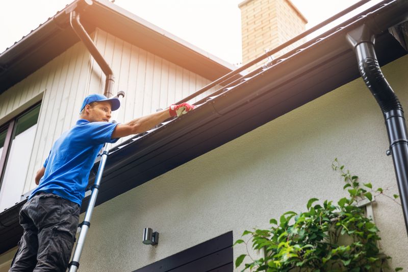 Preventative Gutter Care